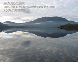 Aquaplan image