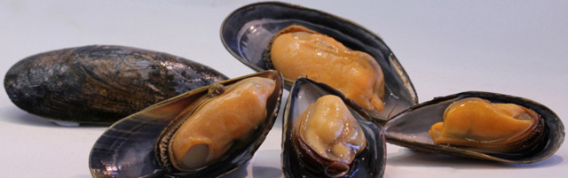 Finfish/Shellfish Image